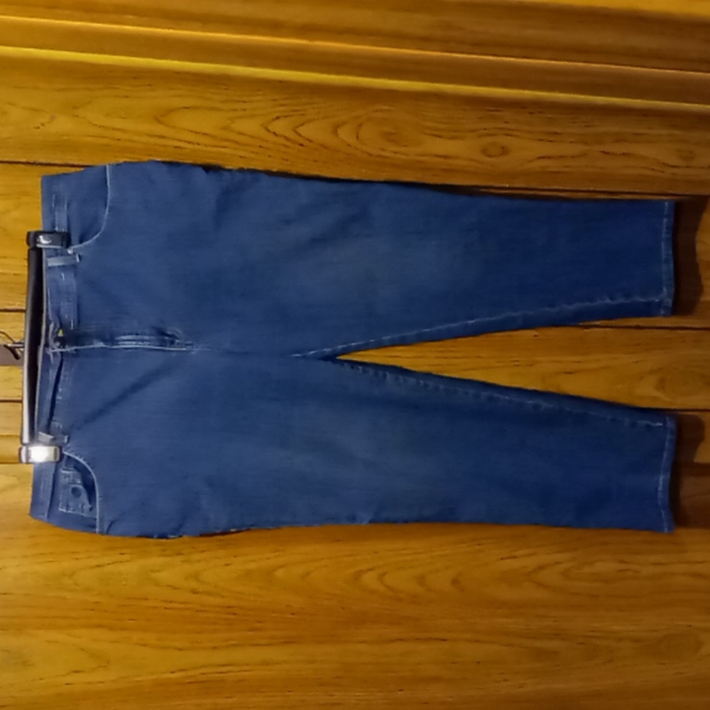 Gloria Vanderbilt average blue jeans women's size 22W used
